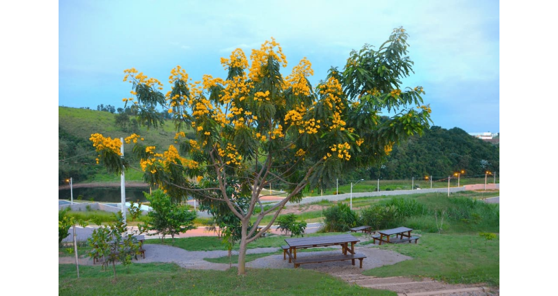 Lindo Terreno à venda em Itatiba no Bairro Itapema na Rodovia Romildo Prado