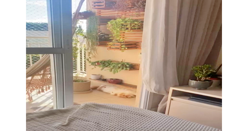 Belo Apartamento à venda no Bairro da Vila Guedes na Rua São Francisco de Assis 885