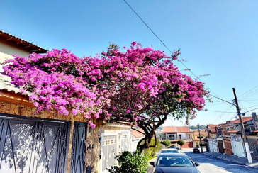 Belo Sobrado à venda no Bairro do Jardim Cidade Pirituba