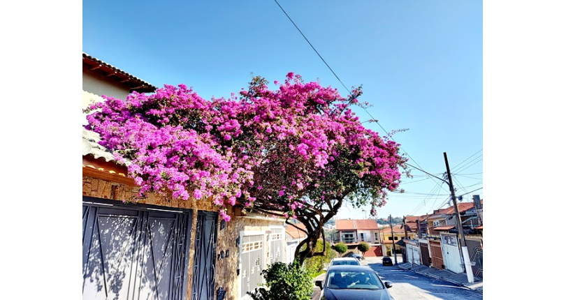 Belo Sobrado à venda no Bairro do Jardim Cidade Pirituba