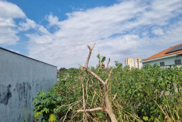 Terreno à venda no Bairro da Vila Guedes na Rua São Francisco de Assis