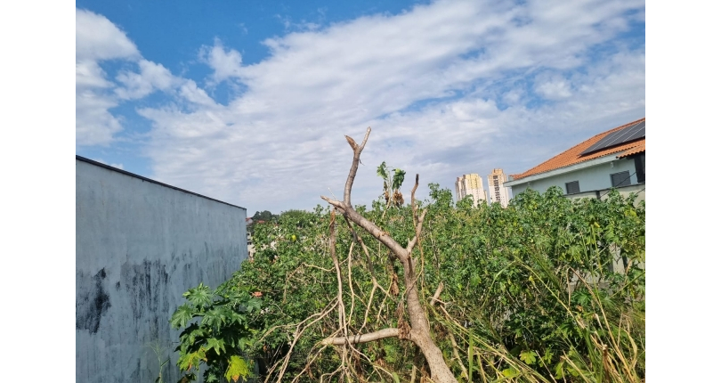 Terreno à venda no Bairro da Vila Guedes na Rua São Francisco de Assis