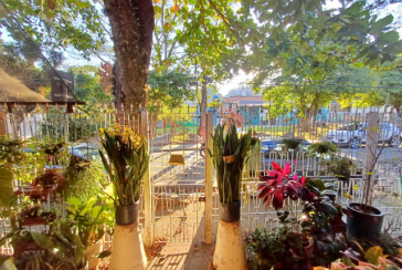 Casa Térrea à venda no Bairro da Vila Mirante na Praça Hilda dos Santos