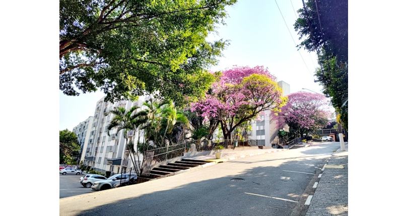 Belo Apartamento à venda no Bairro do Jardim Santa Mônica na Avenida Santa Monica 593