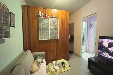 Imóvel Comercial no Bairro do Jardim Santo Elias na Avenida Elísio Cordeiro de Siqueira