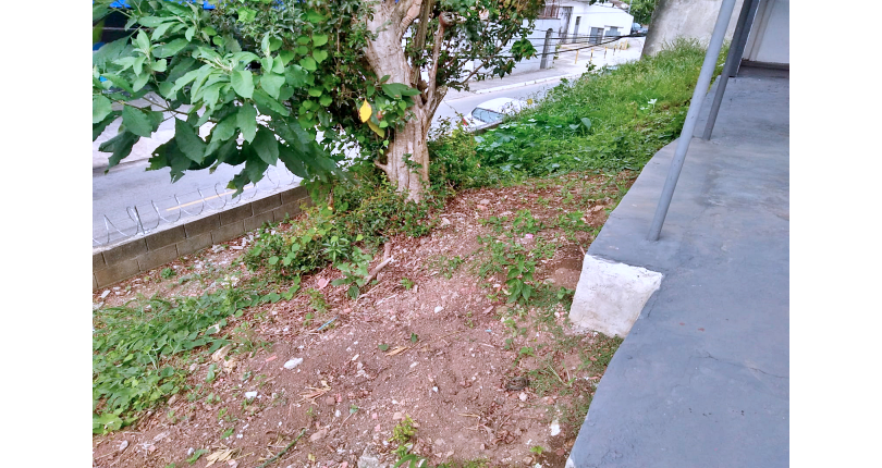 Terreno à venda Rua Doutor Rafael de Araújo Ribeiro, Jaraguá - Imóveis à Venda