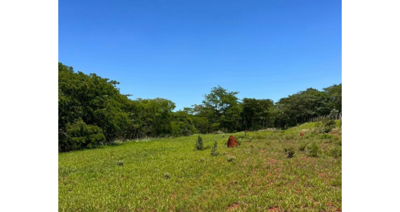 Belo Terreno à venda em Tatuí no Bairro da Vila Esperança 