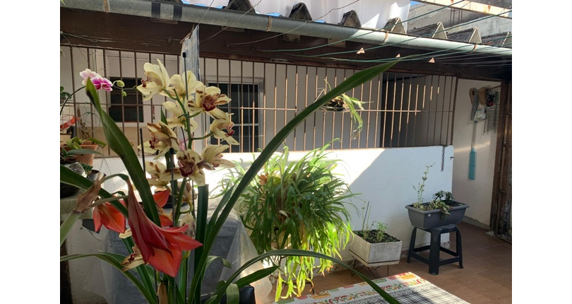 Casa térrea à venda no Jardim Santo Elias na Rua Sandoval Ferreira Cabral,