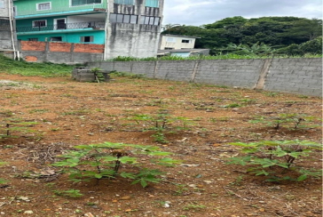Terreno meio lote à venda no Bairro do Jaraguá na Rua Nova Jaraguá