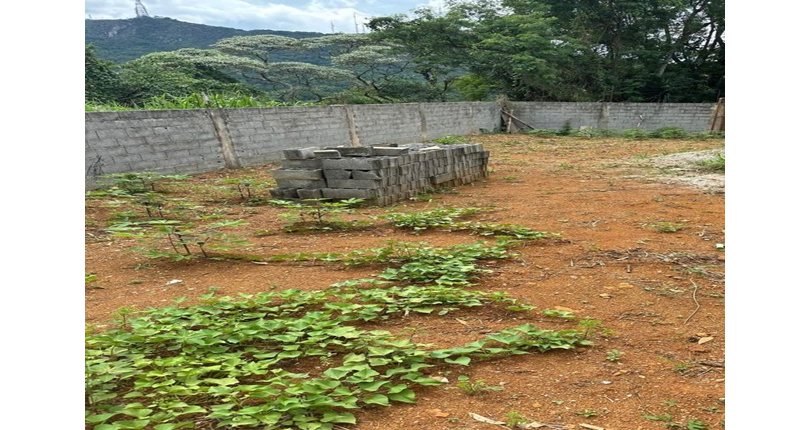Terreno meio lote à venda no Bairro do Jaraguá na Rua Nova Jaraguá
