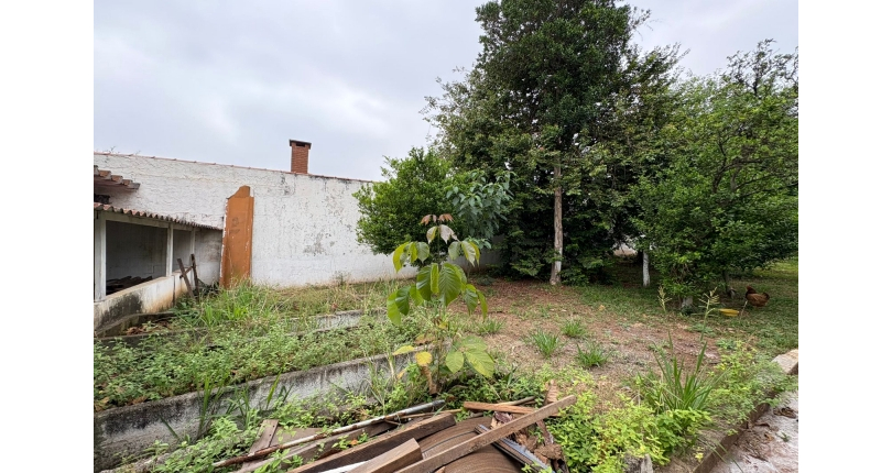 Terreno à venda Rua Major Alfredo Romão, Vila Clarice - Imóveis à Venda