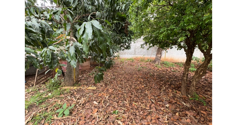 Terreno à venda no Bairro da Vila Clarice na Rua Major Alfredo Romão,