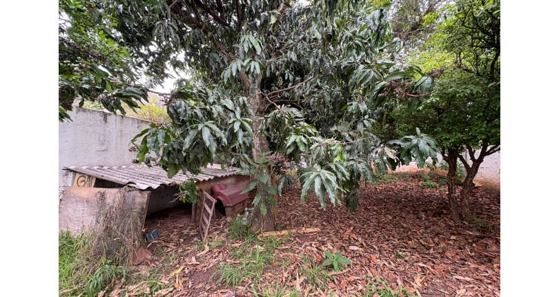 Terreno à venda no Bairro da Vila Clarice na Rua Major Alfredo Romão,
