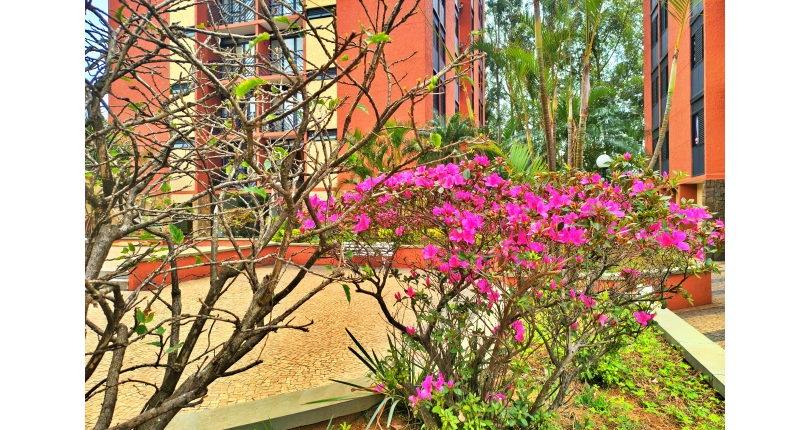 Apartamento à venda Avenida Raimundo Pereira de Magalhães, 3363, Jardim Iris - Imóveis à Venda