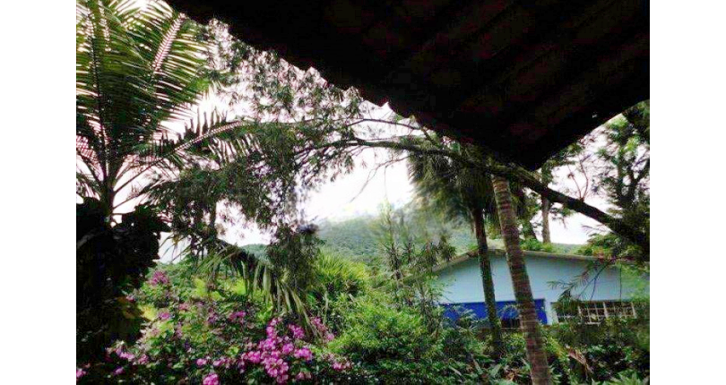 Casa à venda no Bairro da Vila Clarice na Rua Comendador J.de Matos