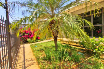 Linda Casa à venda no Bairro da Chácara Inglesa na Rua Cordovil Fernandes Lopes