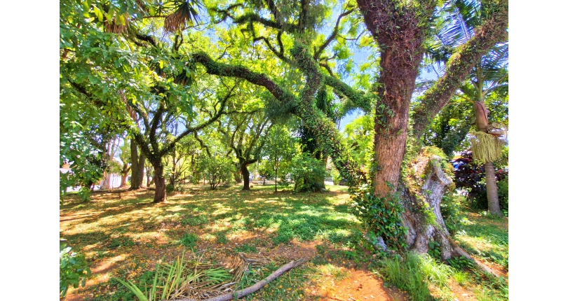 Linda Casa à venda no Bairro da Chácara Inglesa na Rua Cordovil Fernandes Lopes
