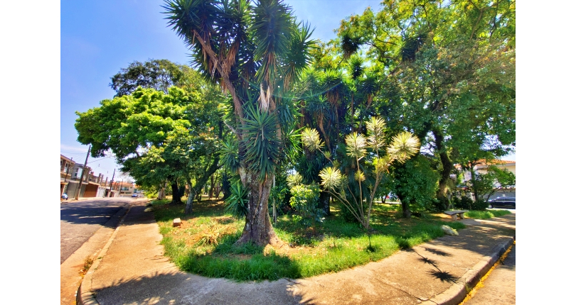 Linda Casa à venda no Bairro da Chácara Inglesa na Rua Cordovil Fernandes Lopes
