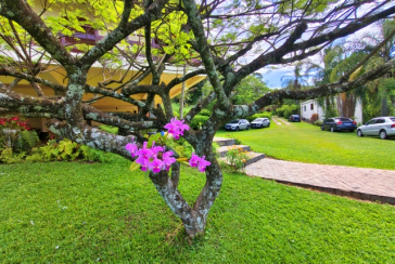 LINDA Casa à venda no Bairro do Chácara Jaraguá na Rua Rio Sapucaia do Sul
