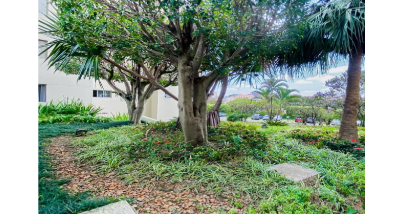 Apartamento à venda no Bairro do Parque Maria Domitila na Rua Willis Roberto Banks 549, no Condomínio Residencial América 