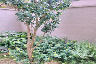  Apartamento Garden à venda no Bairro do Parque Residencial da Lapa na Rua Francisco Corazza 100