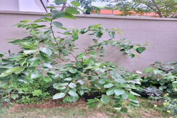  Apartamento Garden à venda no Bairro do Parque Residencial da Lapa na Rua Francisco Corazza 100