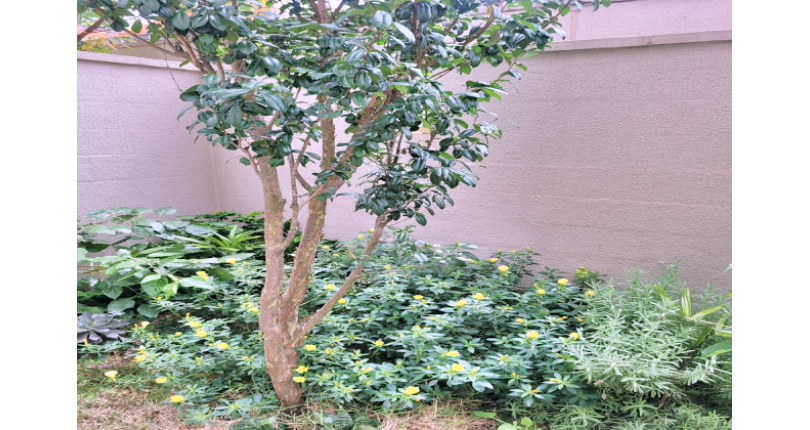  Apartamento Garden à venda no Bairro do Parque Residencial da Lapa na Rua Francisco Corazza 100