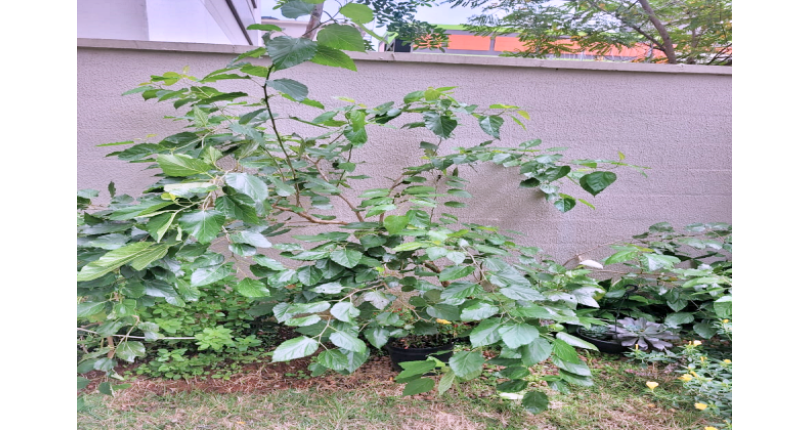  Apartamento Garden à venda no Bairro do Parque Residencial da Lapa na Rua Francisco Corazza 100