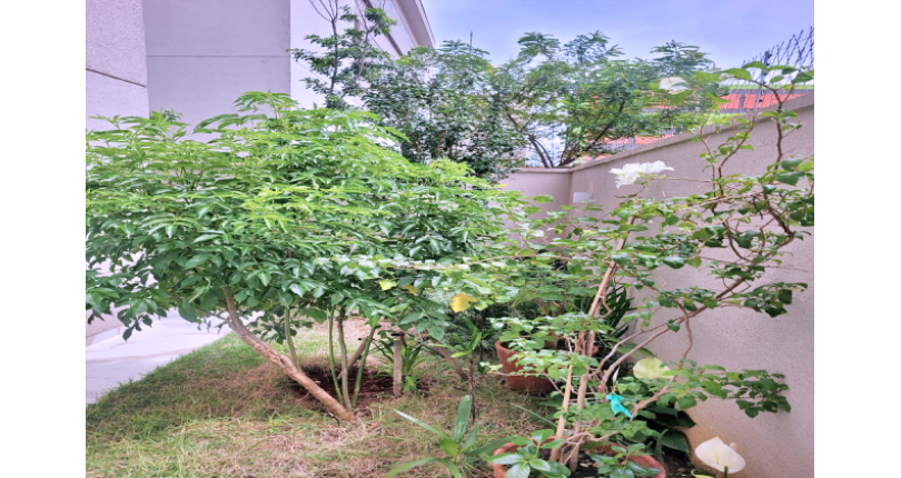  Apartamento Garden à venda no Bairro do Parque Residencial da Lapa na Rua Francisco Corazza 100