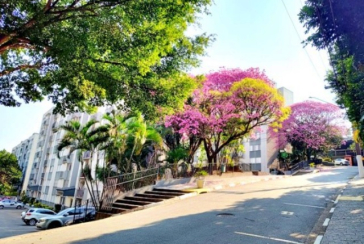  Apartamento à venda no Bairro do Jardim Santa Mônica na Avenida Santa Monica 593, 