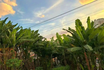 Terreno à venda no Bairro da Vila Mangalot na Rua José Ataliba Ortiz