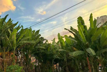 Terreno à venda no Bairro da Vila Mangalot na Rua José Ataliba Ortiz