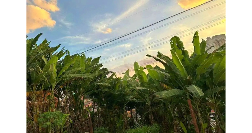 Terreno à venda no Bairro da Vila Mangalot na Rua José Ataliba Ortiz