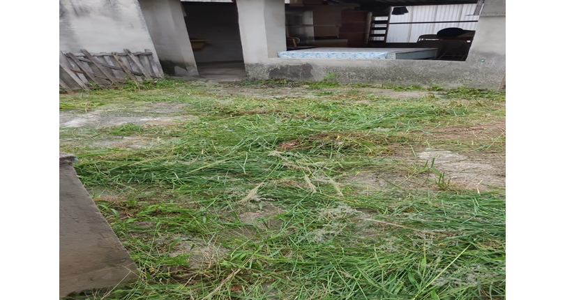 Terreno à venda no Bairro do Piqueri na Rua Manuel Fagundes de Souza