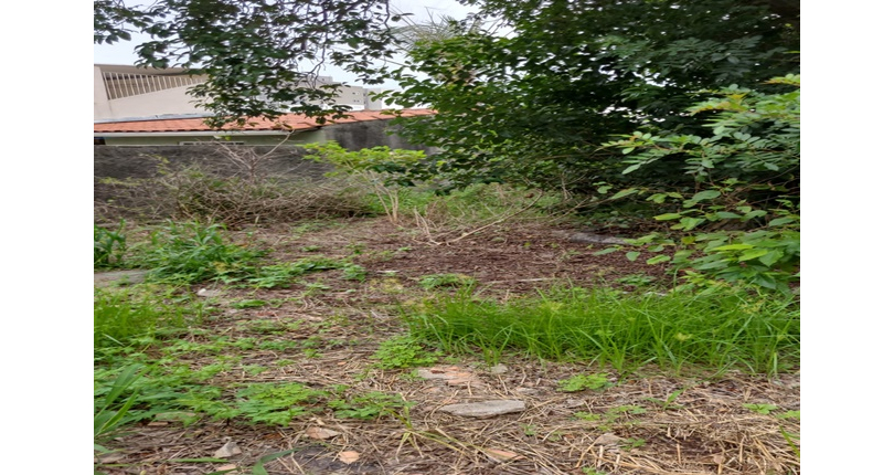 Terreno à venda Rua Manuel Fagundes de Souza, Piqueri - Imóveis à Venda