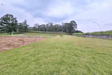 Terreno à venda no Bairro do Jardim Regina na Rua Canela Guaicá