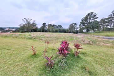 Terreno à venda no Bairro do Jardim Regina na Rua Canela Guaicá