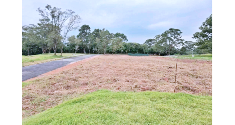 Terreno à venda no Bairro do Jardim Regina na Rua Canela Guaicá