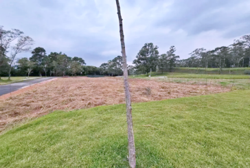 Terreno à venda no Bairro do Jardim Regina na Rua Castanha do Maranhão, 