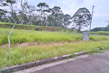 Terreno à venda no Bairro do Jardim Regina na Rua Castanha do Maranhão, 