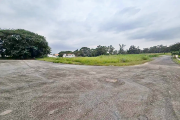 Terreno à venda no Bairro do Jardim Regina na Rua Castanha do Maranhão, 