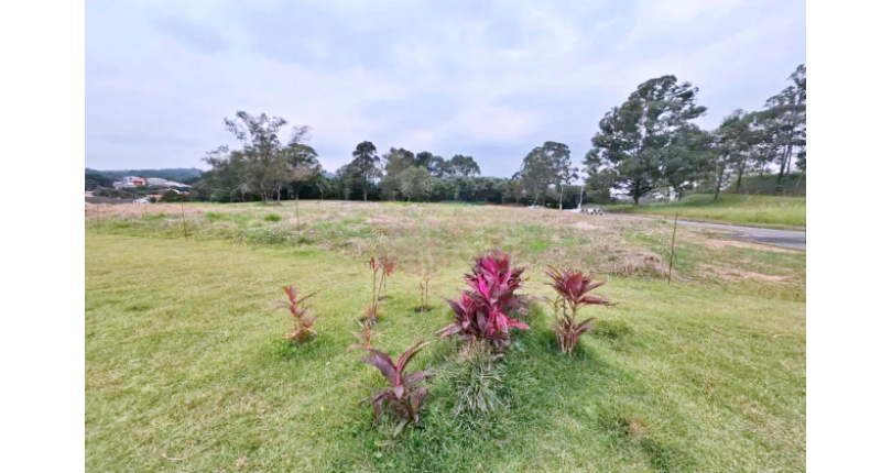 Terreno à venda no Bairro do Jardim Regina na Rua Castanha do Maranhão, 