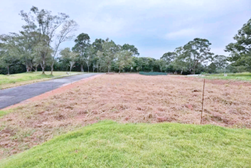 Terreno à venda no Jardim Regina na Rua Árvore da Chuva