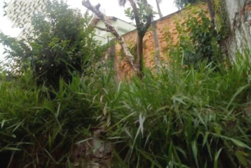 Casa Térrea assobradada à venda no Bairro da Chácara Inglesa na Rua Lord Clemente Attlee