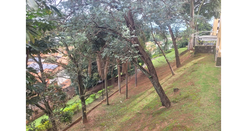 Apartamento à venda Rua José Carlos de Resende, 92, Conjunto Residencial Vista Verde - Imóveis à Venda