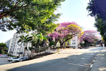 Apartamento à venda no Bairro do Jardim Santa Mônica na Avenida Santa Monica 593