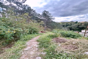 Terreno à venda em Caieiras no Bairro da  Vila Rosina na Rua Maria Bernarda Butler S/n,