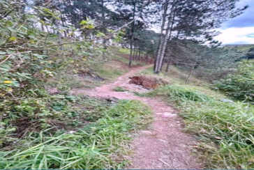 Terreno à venda em Caieiras no Bairro da  Vila Rosina na Rua Maria Bernarda Butler S/n,