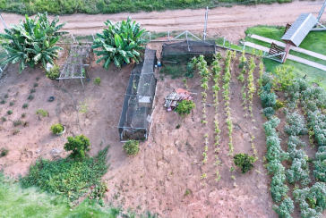 Chacara à venda em Pedra Bela no Bairro Área Rural