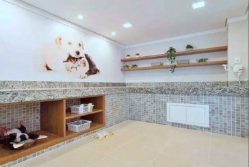  Apartamento à venda no Bairro do Jaraguá na Avenida Doutor Felipe Pinel 3581